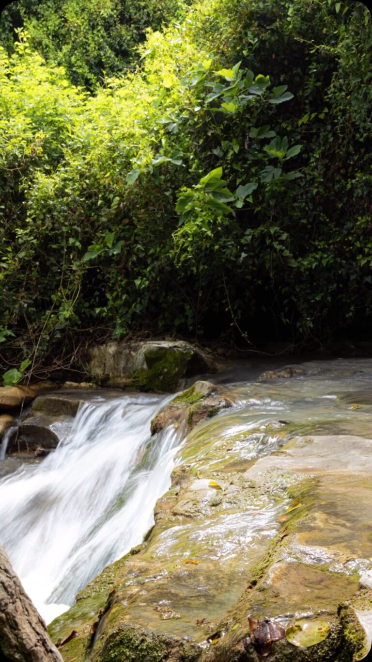 Instagram post from g.v.p.studios. This post is in position 3.